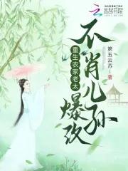 重生之农家老太婆
