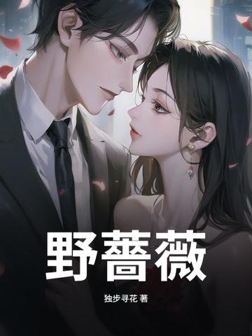 野蔷薇村的故事绘本