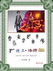 特工法师ziP