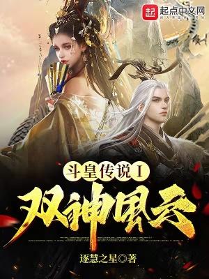 斗皇传说1双神风云在线观看