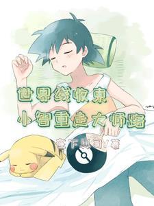 宝可梦:小智重生世界线收束